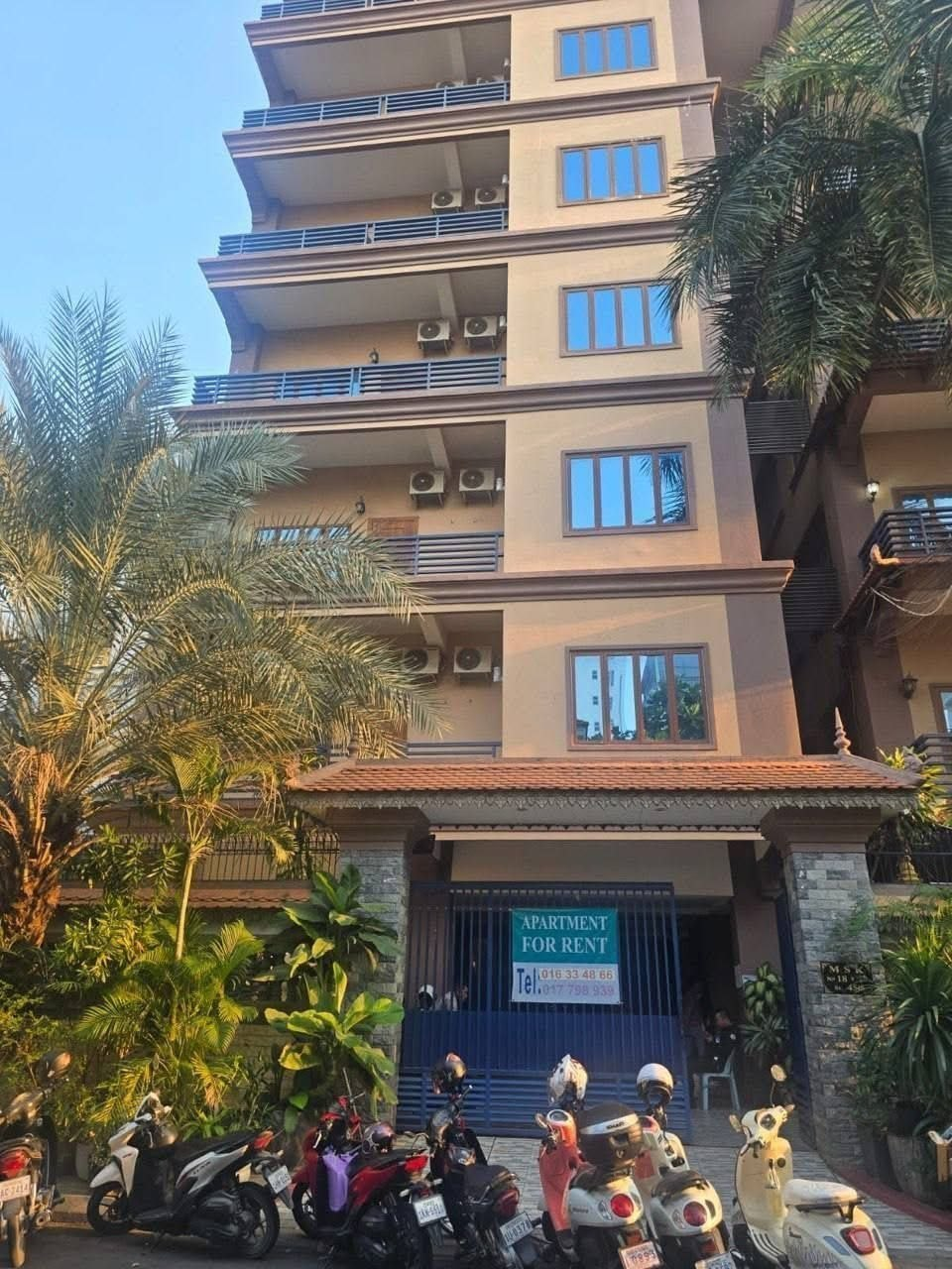 金边今天抓了17名越南狗推